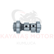EKSANTİRİK MİLİ YBR 125