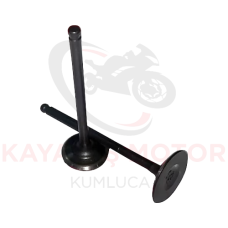 SİBOP RKS GRACE 202