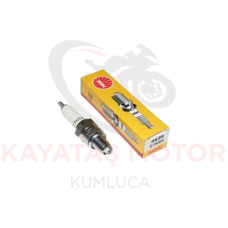 CUP-SCT NGK BUJİ C7